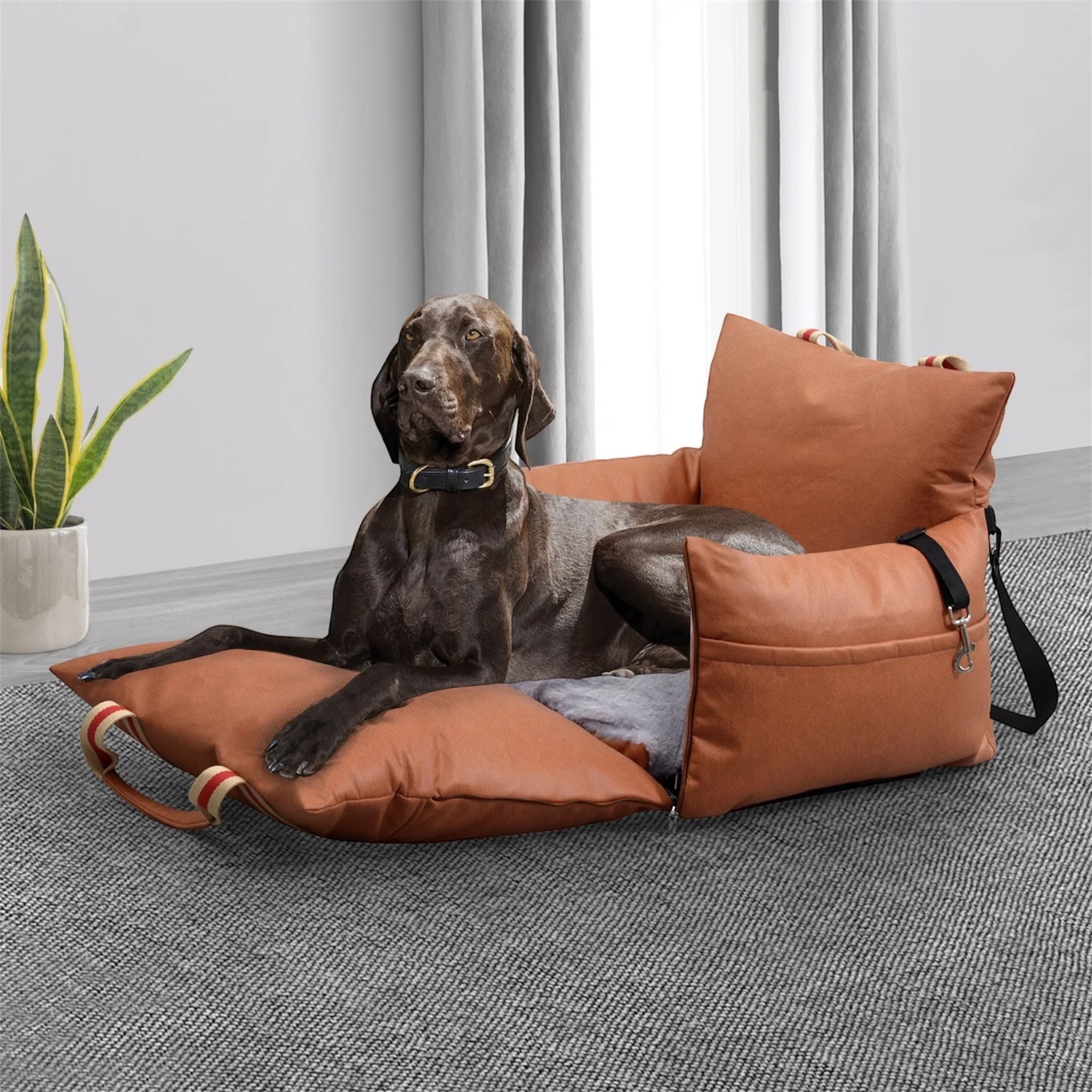 Luxury pet home and car seat in grey for dogs and cats